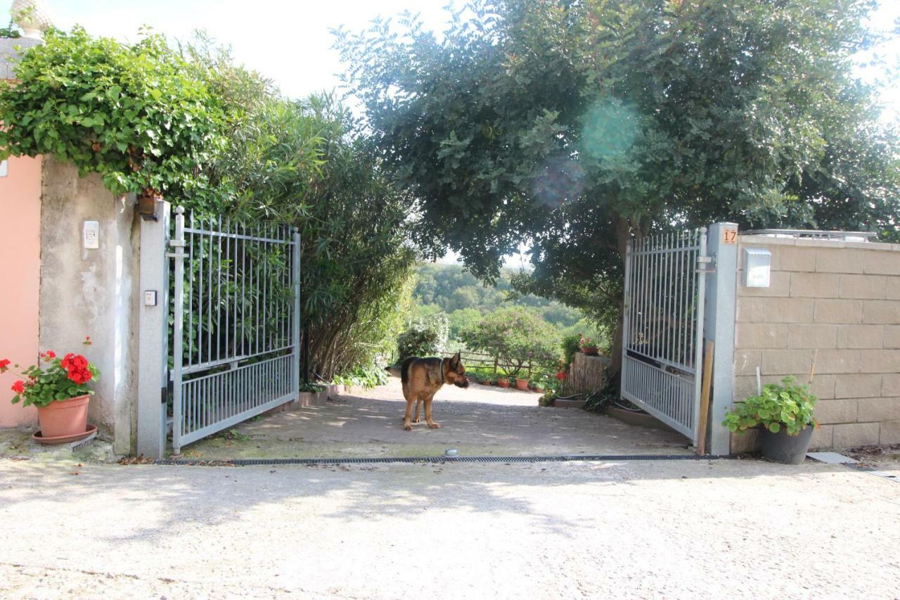 Rita Pension Sassari Buitenkant foto